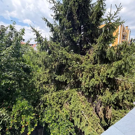 Affittacamere Izgrev Sarafovo Burgas